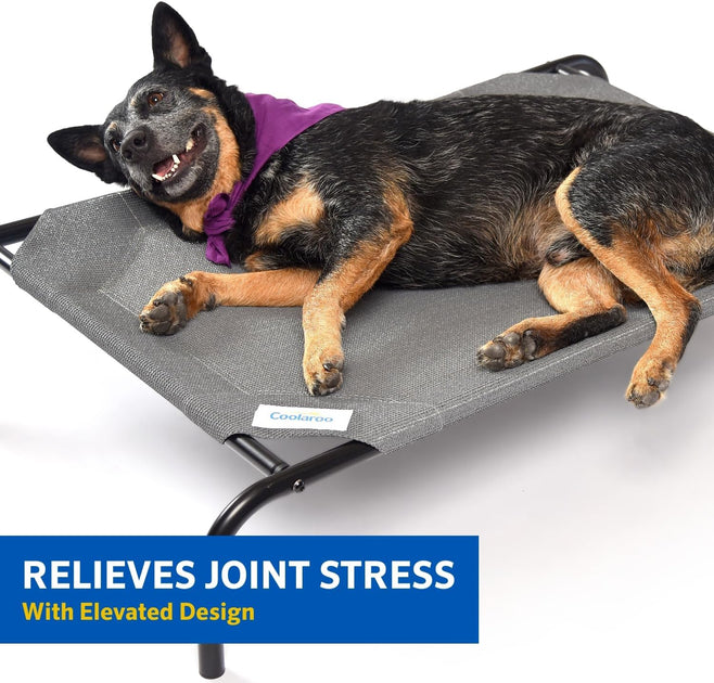 Coolaroo dog bed cover online