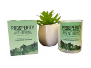 Crystals In a Candle Prosperity - Aventurine